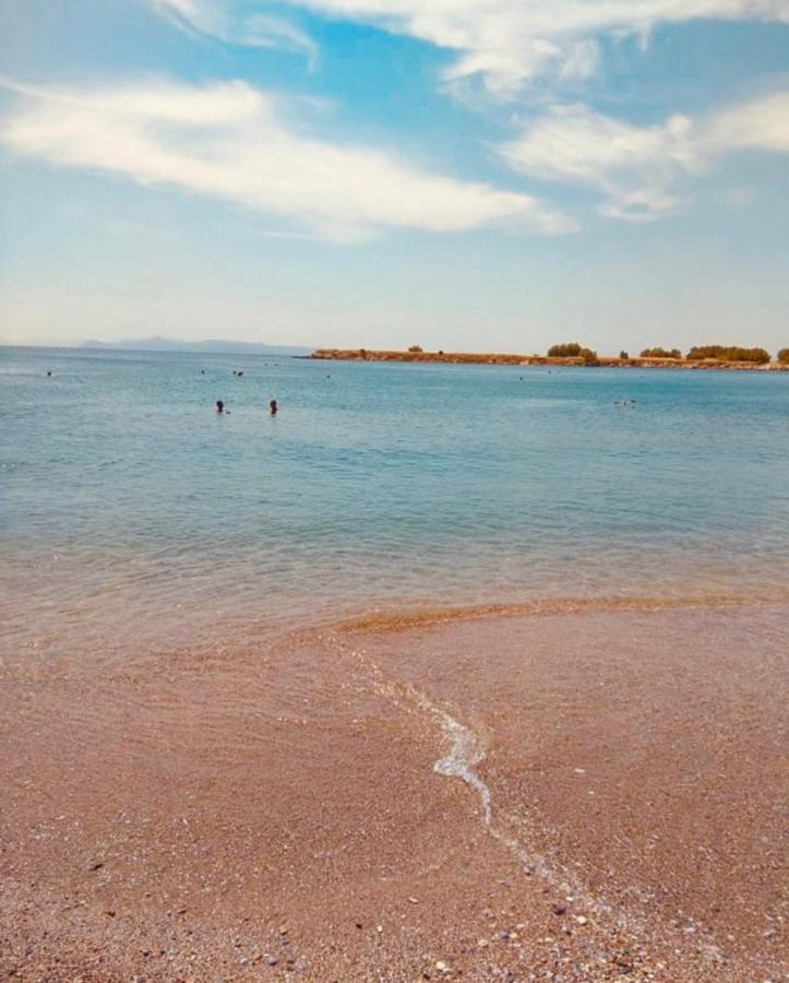 Modern In Glyfada A Breath Away From The Sea - The View Appartement *